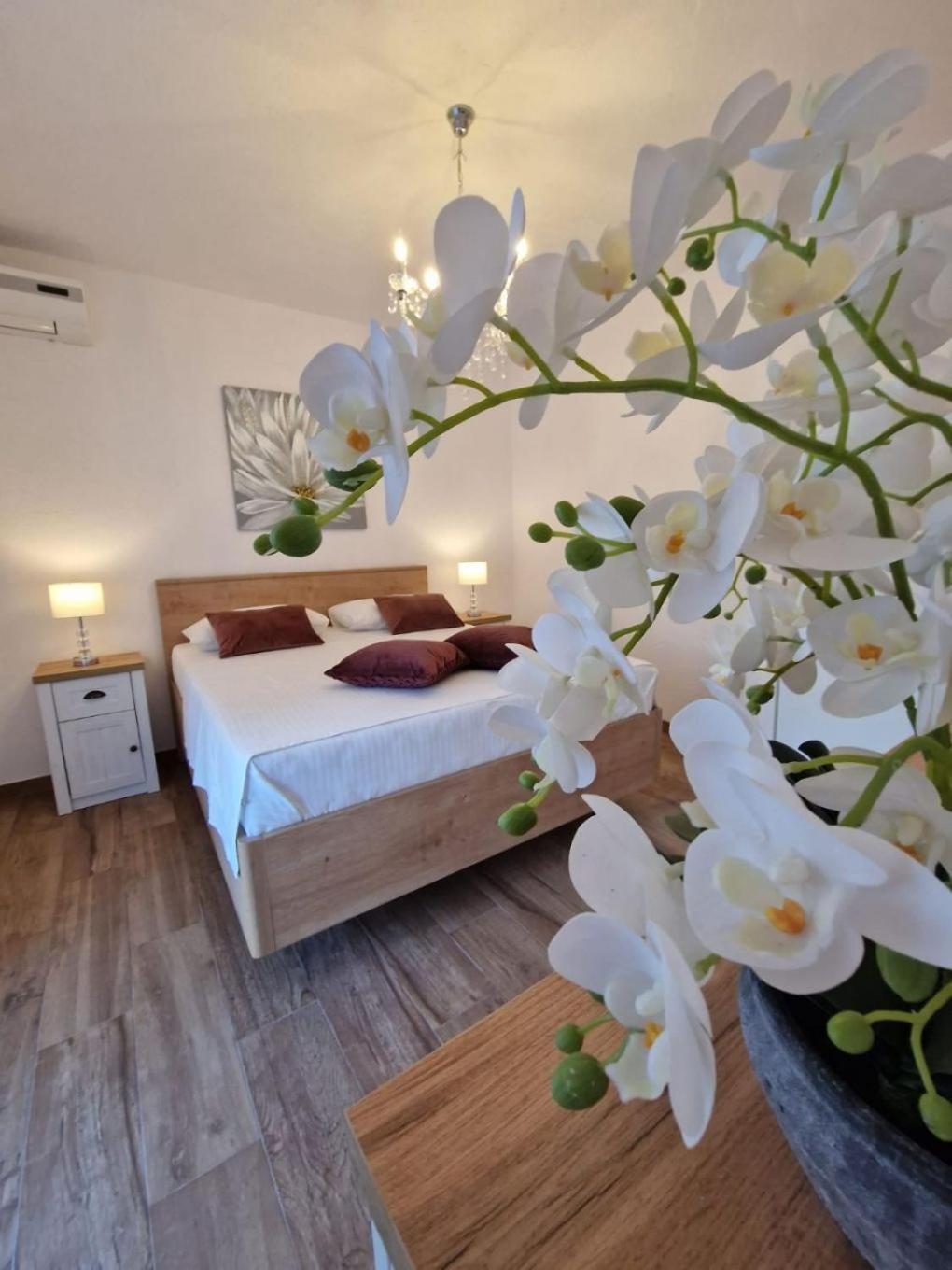 Sandra Apartman