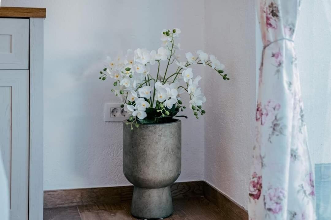 Apartman Sandra Donji Okrug (Ciovo)